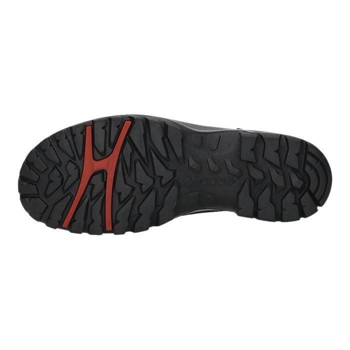 ecco Allwetterstiefel Kaltfutter mit Funktionsmembran (wasserabweisend/wasserdicht) Xpedition III M