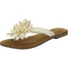 Lazamani Pantolette bis 30mm Absatz (casual) - SchuhEggers.de