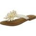 Lazamani Pantolette bis 30mm Absatz (casual) - SchuhEggers.de