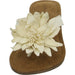 Lazamani Pantolette bis 30mm Absatz (casual) - SchuhEggers.de