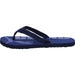PUMA Badelatsche Epic Flip v2 - SchuhEggers.de