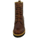 Panama Jack Schnürstiefelette Warmfutter ab 35mm Absatz - SchuhEggers.de