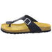 BOXX Bio Pantolette bis 30mm Sohlenhöhe - SchuhEggers.de