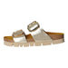 BOXX Bio Pantolette ab 30mm Sohlenhöhe - SchuhEggers.de