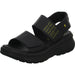 Panama Jack Keil Sandalette ab 30mm Sohlenhöhe - SchuhEggers.de