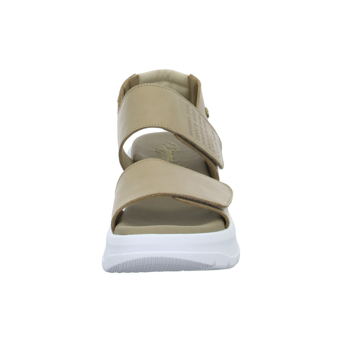 Panama Jack Keil Sandalette ab 30mm Sohlenhöhe Noah - SchuhEggers.de