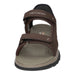 Skechers Sandalette Freizeit (casual) TRESMEN-REECE - SchuhEggers.de