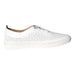 Cosmos Comfort Slipper/Kletthalbschuh Freizeit (casual) - SchuhEggers.de