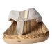 living UPDATED Pantolette bis 30mm Absatz (casual) - SchuhEggers.de