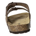 BOXX Bio Pantolette bis 30mm Sohlenhöhe - SchuhEggers.de