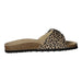 Alyssa Bio Pantolette bis 30mm Sohlenhöhe - SchuhEggers.de