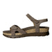 Panama Jack Keil Sandalette ab 30mm Sohlenhöhe Sulia B24grauem - SchuhEggers.de