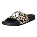 adidas Pantolette ADILETTE SHOWER LOGO K - SchuhEggers.de